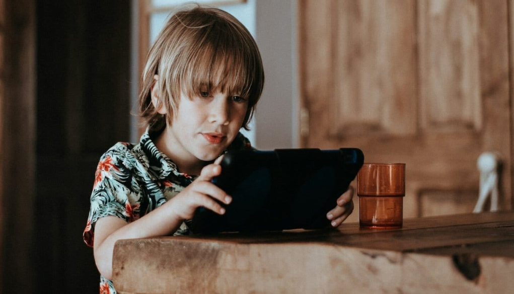 The SREN law has been enacted, what are the implications?